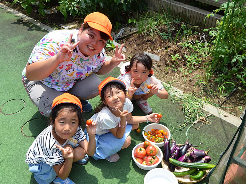 7月 畑で野菜を収穫