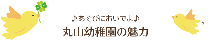 あそびにおいでよ♪丸山幼稚園の魅力