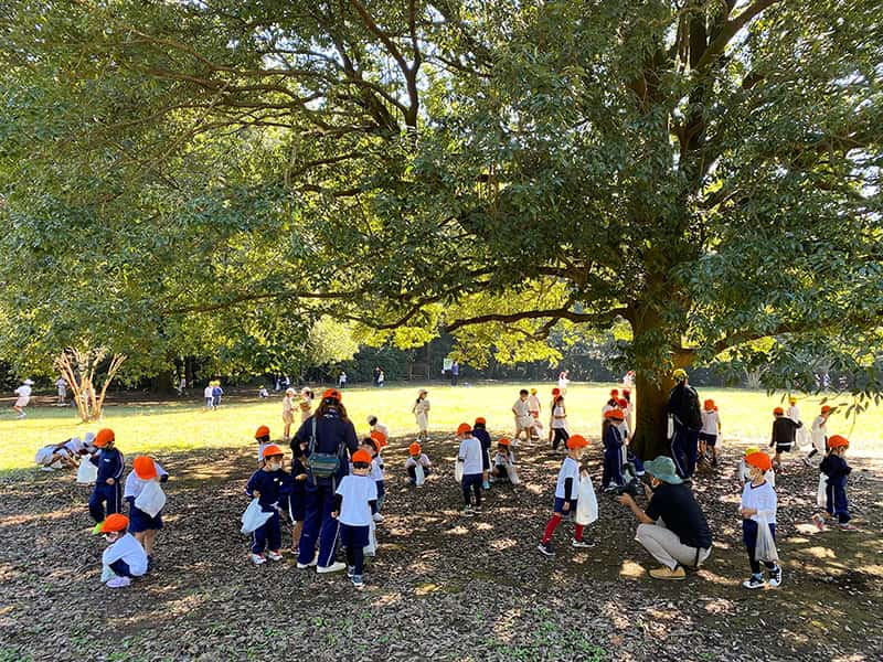 丸山幼稚園　年中組遠足　東高根森林公園