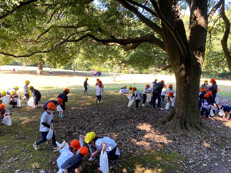 丸山幼稚園　年中組遠足　東高根森林公園