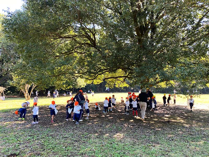 丸山幼稚園　年中組遠足　東高根森林公園