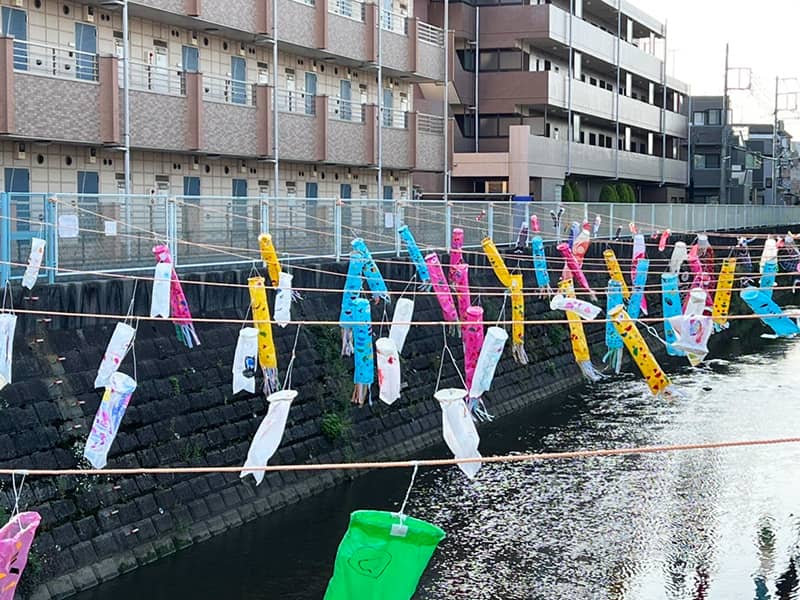 丸山幼稚園 二ヶ領用水 鯉のぼり