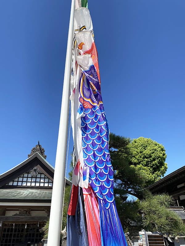 丸山幼稚園 鯉のぼり 2