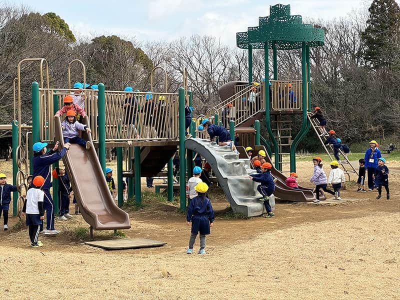 丸山幼稚園 年中組 遠足「菅生緑地」